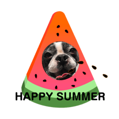 [LINEスタンプ] バブち 〜HAPPY SUMMER 2020〜