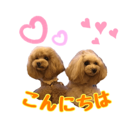 [LINEスタンプ] チョコ＆アラレ