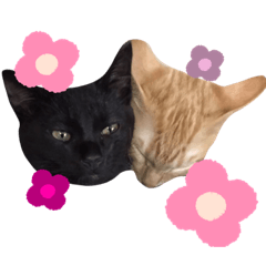 [LINEスタンプ] ちぃちゃんくぅちゃん