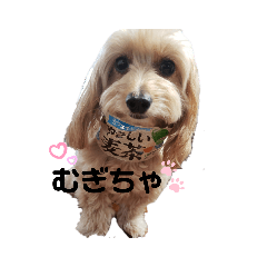 [LINEスタンプ] ☆むぎちゃ☆