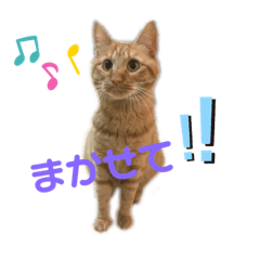 [LINEスタンプ] 猫イチロウ 2