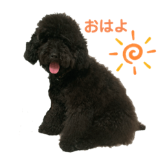 [LINEスタンプ] るいくんです。