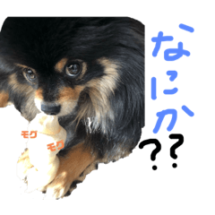 [LINEスタンプ] ネネとミッシェル