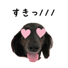 [LINEスタンプ] ちむちむちゃん