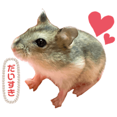 [LINEスタンプ] ぐらたんのスタンプ