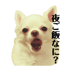 [LINEスタンプ] ふうさんのスタ