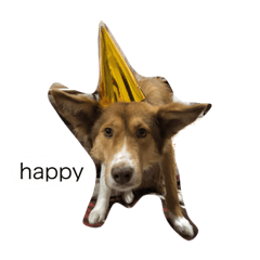 [LINEスタンプ] シャルルのメッセージ4