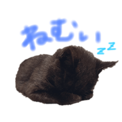 [LINEスタンプ] 黒猫 ジジちゃん