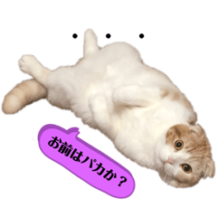 [LINEスタンプ] エインパスタンプ