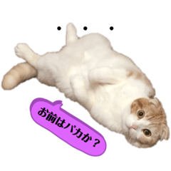 [LINEスタンプ] エインパスタンプの画像（メイン）