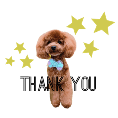 [LINEスタンプ] ★☆BUZZ 日常会話スタンプ☆★