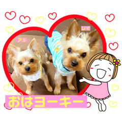 [LINEスタンプ] ヨーキーまみれスタンプ②