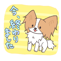 [LINEスタンプ] パピヨンの連絡スタンプ