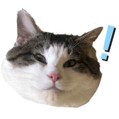 [LINEスタンプ] みるくるみ〜