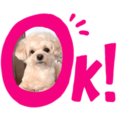 [LINEスタンプ] マルプーのモコたん
