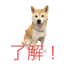 [LINEスタンプ] 今日のそら模様2