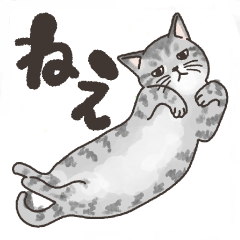 [LINEスタンプ] 猫が出てくるスタンプ