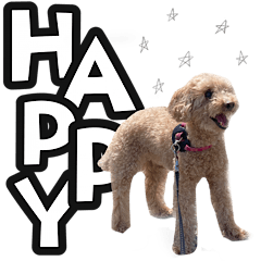 [LINEスタンプ] 愛しのここ