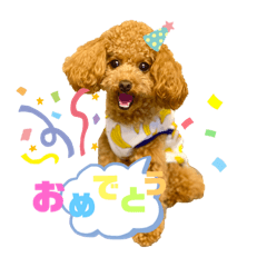 [LINEスタンプ] 壱様 スタンプ①