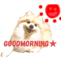 [LINEスタンプ] マメ吉たち♡