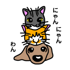 [LINEスタンプ] いぬねこスタンプ【ウニムギタイガ】