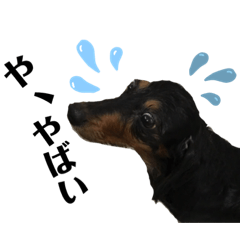 [LINEスタンプ] Annwin☆