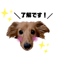 [LINEスタンプ] ありあのきもち。2