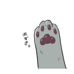 [LINEスタンプ] うちの子と傷だらけの飼い主2