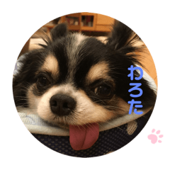 [LINEスタンプ] ちわのくっく2