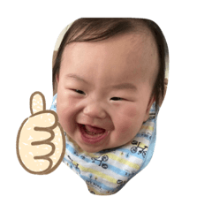 [LINEスタンプ] 虎ノ助スタンプ