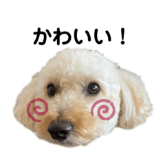 [LINEスタンプ] ワンちゃんランド2