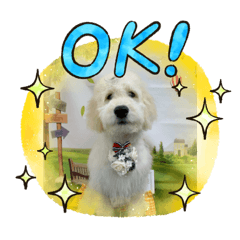 [LINEスタンプ] チャーリーの部屋
