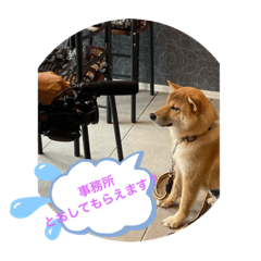 [LINEスタンプ] PETSファミリー