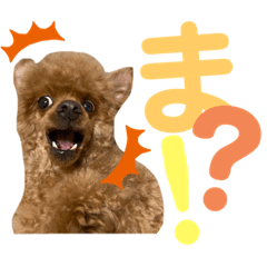 [LINEスタンプ] てんこのスタンプ♡