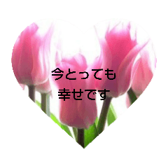 [LINEスタンプ] 花言葉メッセージ