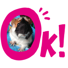 [LINEスタンプ] むーちゃんの日常2