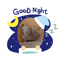 [LINEスタンプ] 柴犬の〇〇くん
