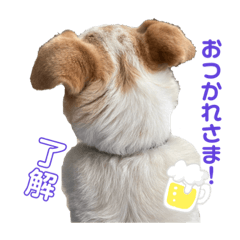 [LINEスタンプ] たろスタ②