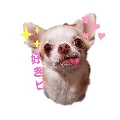 [LINEスタンプ] 気分の