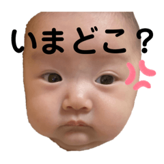 [LINEスタンプ] ゆづたんのふきげん