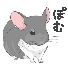 [LINEスタンプ] うちのチンチラ