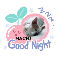 [LINEスタンプ] マッチマチ