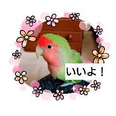 [LINEスタンプ] どうぶつさんたち！