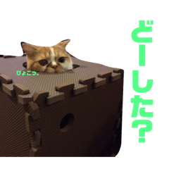 [LINEスタンプ] ポコチンズ②