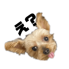 [LINEスタンプ] アンディ2