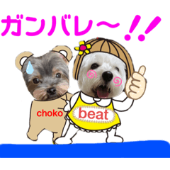 [LINEスタンプ] 仲良しウェスティーとヨーキーPART Ⅱ
