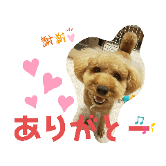 [LINEスタンプ] ポコすたんぷ#08