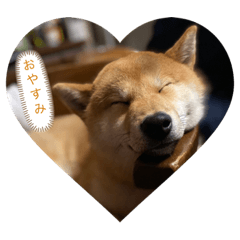 [LINEスタンプ] 吟さんの日常①