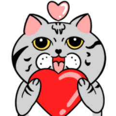 [LINEスタンプ] 滞在 かわいい猫の日常