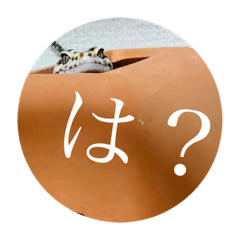 [LINEスタンプ] レオパ界の美女JILL様